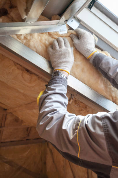 Best Eco-Friendly Insulation in Lubeck, WV