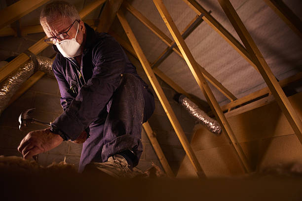 Best Geographic-Specific Insulation Services in Lubeck, WV